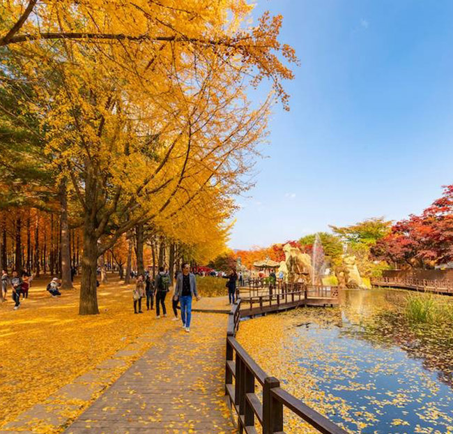 Lập Kế Hoạch Tài Chính và Chuẩn Bị Thủ Tục Đi Du Lịch Nước Ngoài